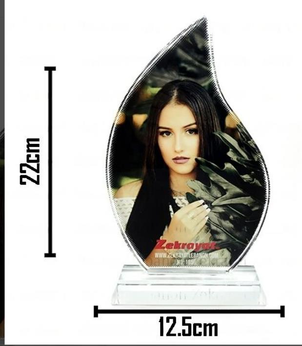 מגן הוקרה יוקרתי