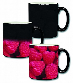 כוס הקסם רגילה