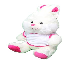 5498) דובי ארנב סובלימציה+חולצה ורוד/תכלת 33 ס"מ