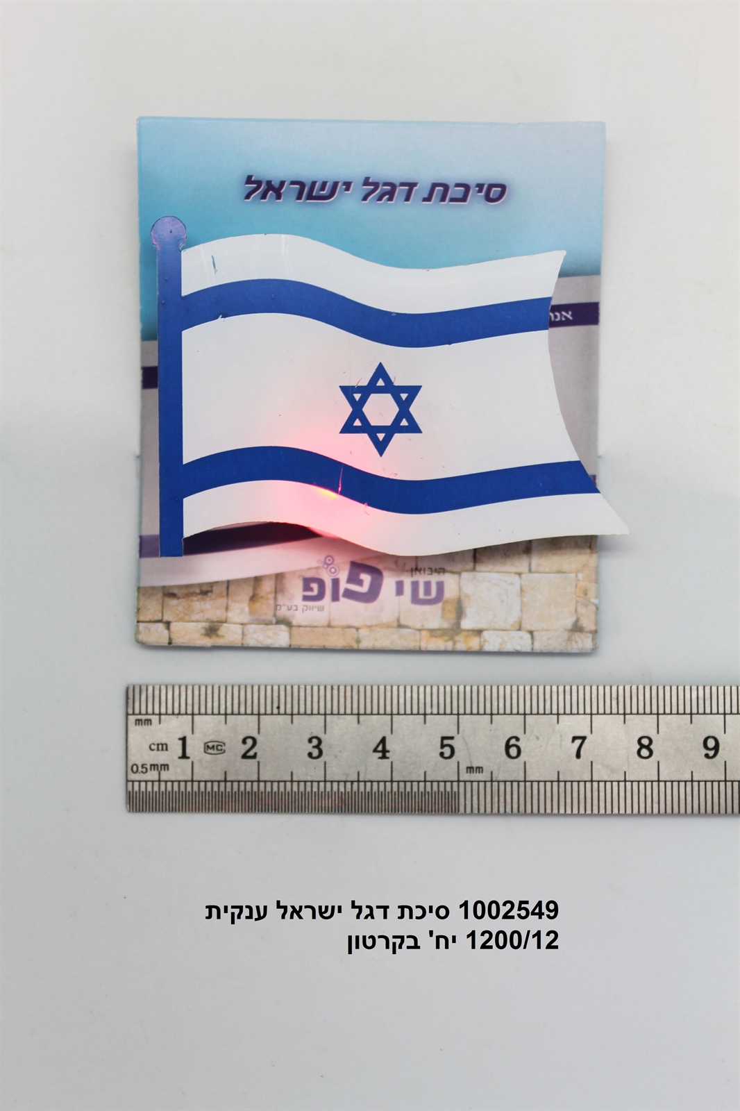 סיכת דגל ישראל ענקית