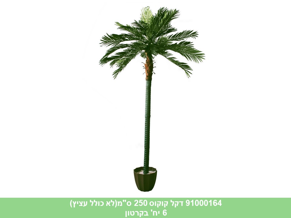 עץ דקל קוקוס 250 ס"מ ****