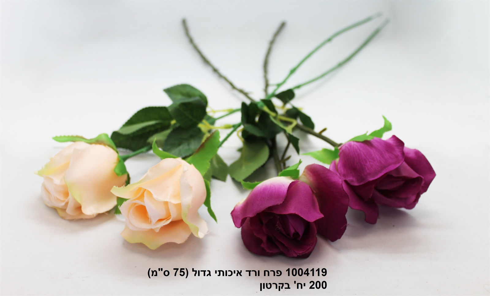 פרח ורד איכותי גדול