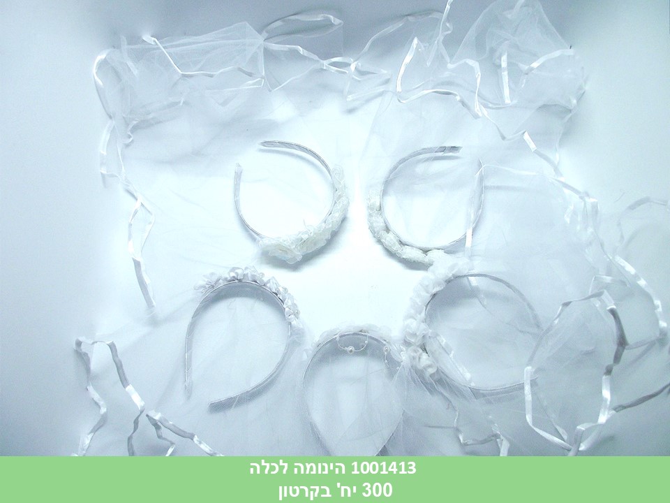 הינומה לכלה (300)