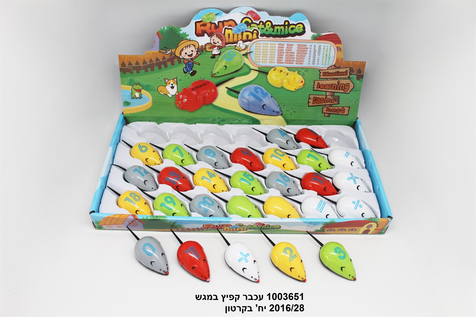 עכבר קפיץ במגש (2016/28)