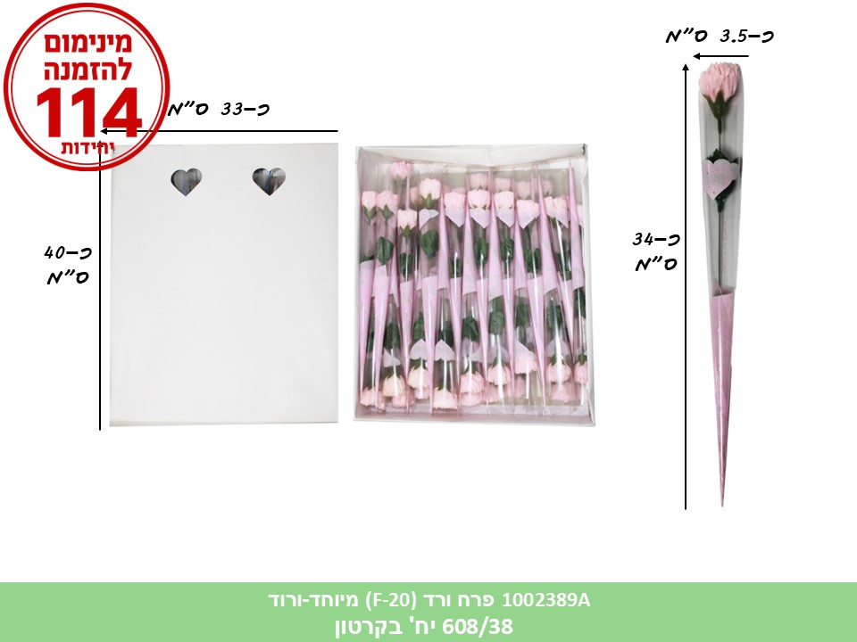 פרח ורד (F-20) מיוחד - ורוד (608/38) (ARIZOT)