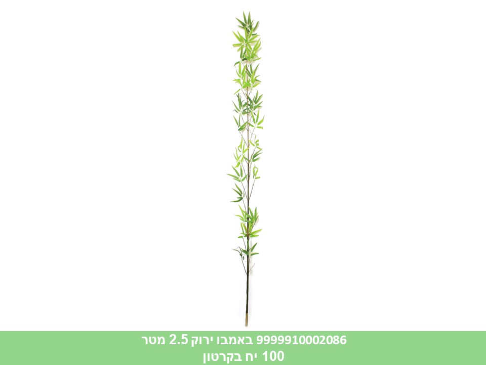 באמבו ירוק 2.5 מטר