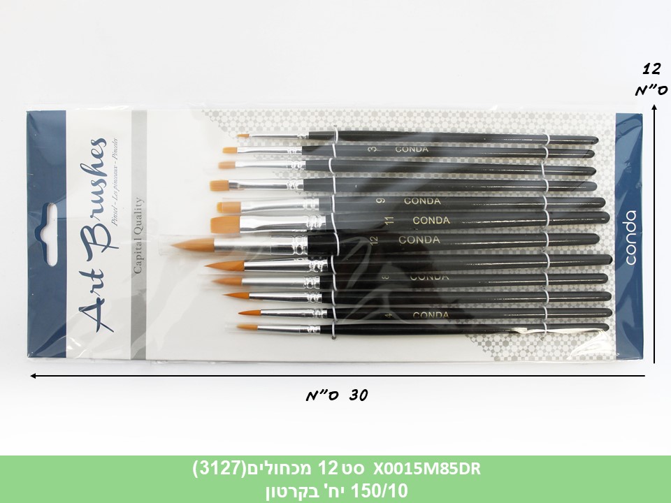 סט 12 מכחולים (ברקוד לועזי) (3127)