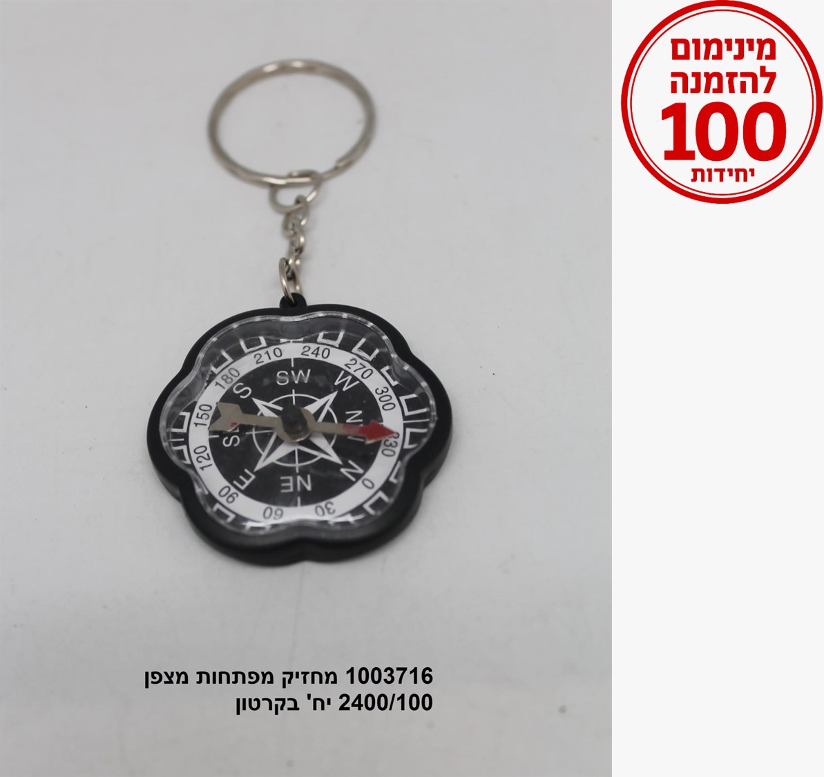 מחזיק מפתחות מצפן (1200/100)