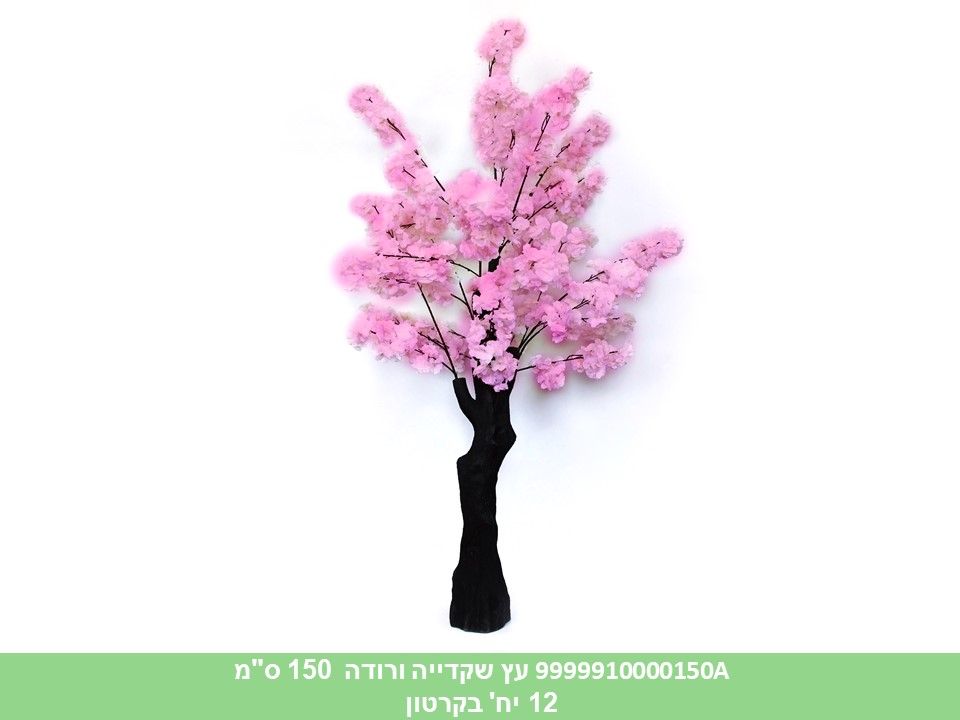 עץ שקדייה 150 ס"מ ורודה