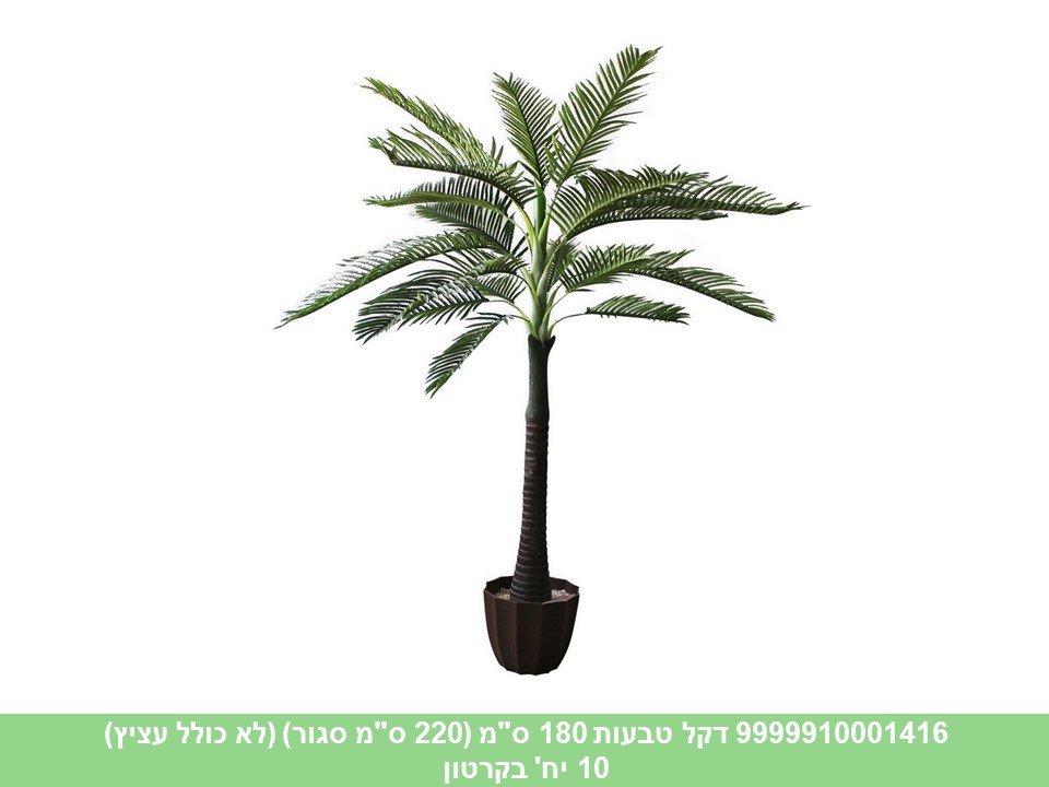 עץ דקל טבעות 180 ס"מ (220 ס"מ סגור)