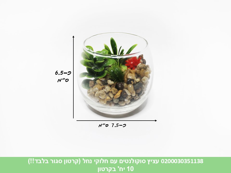 עציץ סוקולנטים עם חלוקי נחל (קרטון סגור בלבד!!) (10)