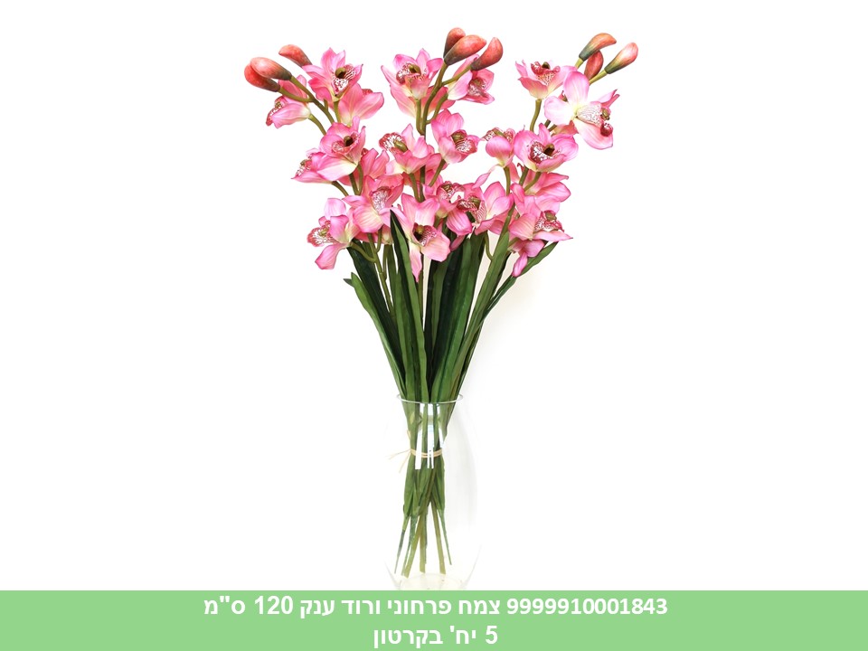 צמח פרחוני ורוד ענק 120 ס"מ (5)
