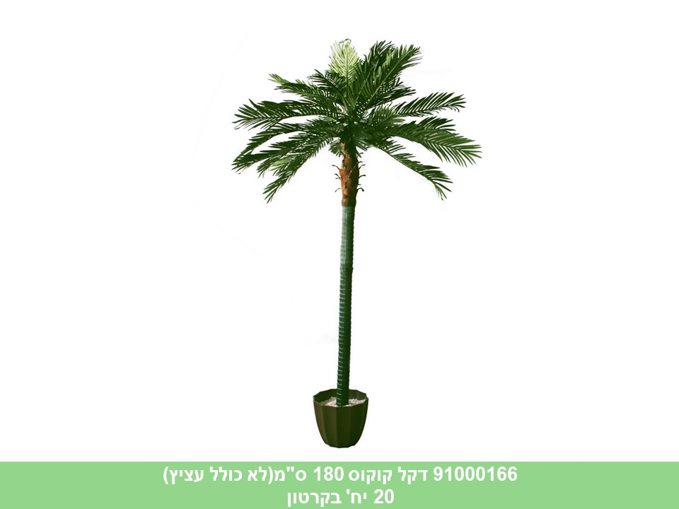 עץ דקל קוקוס 180 ס"מ ***