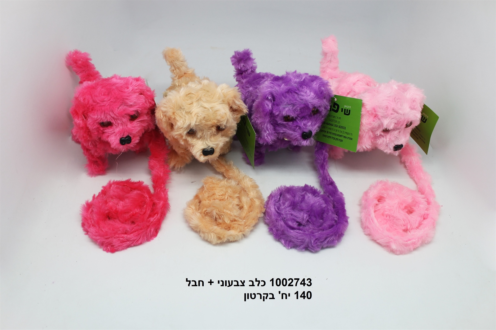 כלב צבעוני + חבל