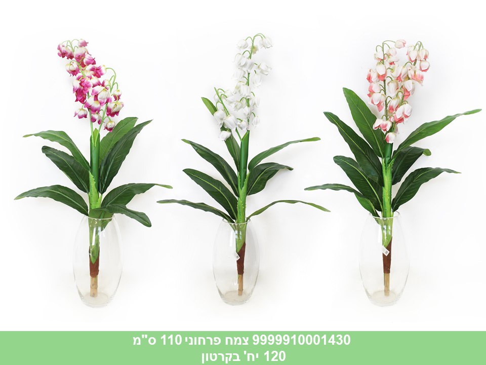 צמח פרחוני 110 ס"מ (120)