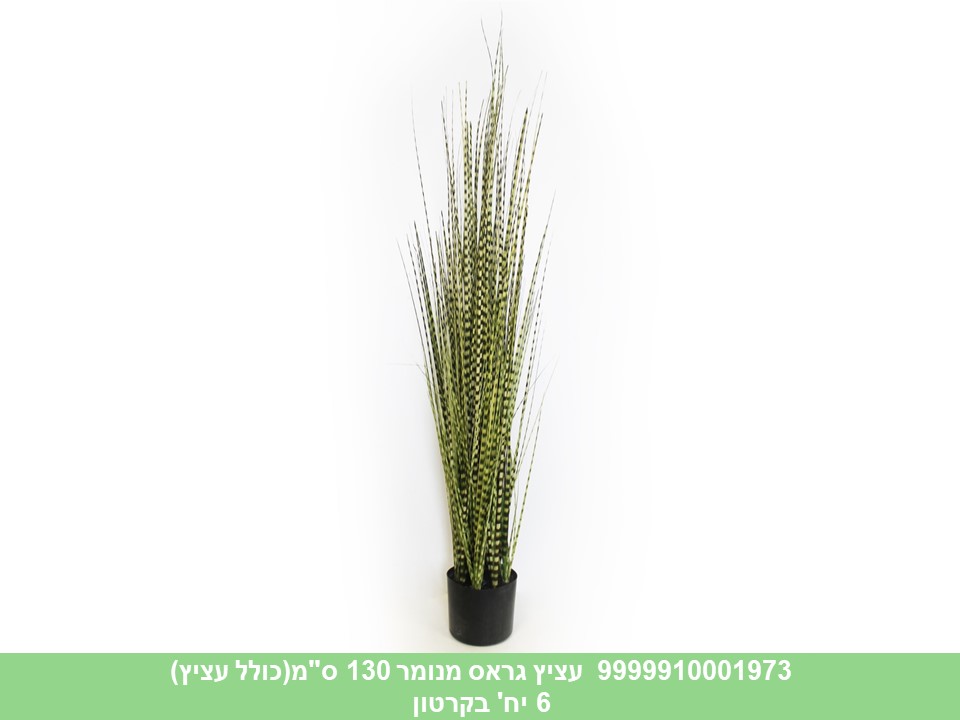 עציץ גראס מנומר 130 ס"מ