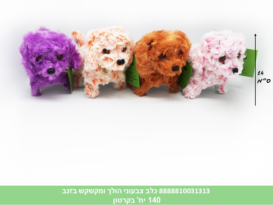 כלב צבעוני הולך ומקשקש בזנב (140]