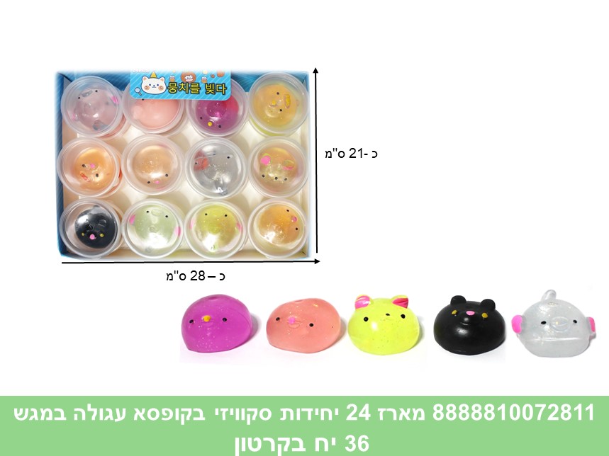 מארז 24 יחידות סקוויזי בקופסא עגולה במגש (36)