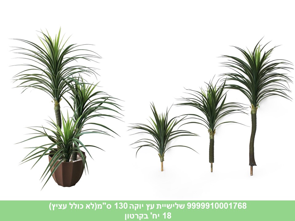 שלישיית עץ יוקה 130 ס"מ