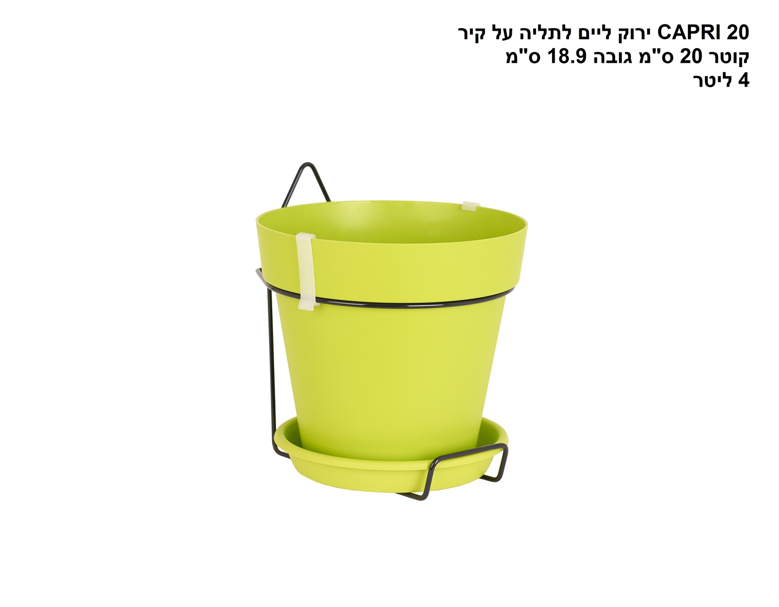עציץ CAPRI 20 לתליה על קיר ירוק ליים