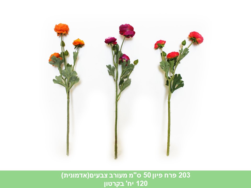 פרח פיון 50 ס"מ מעורב צבעים(אדמונית)