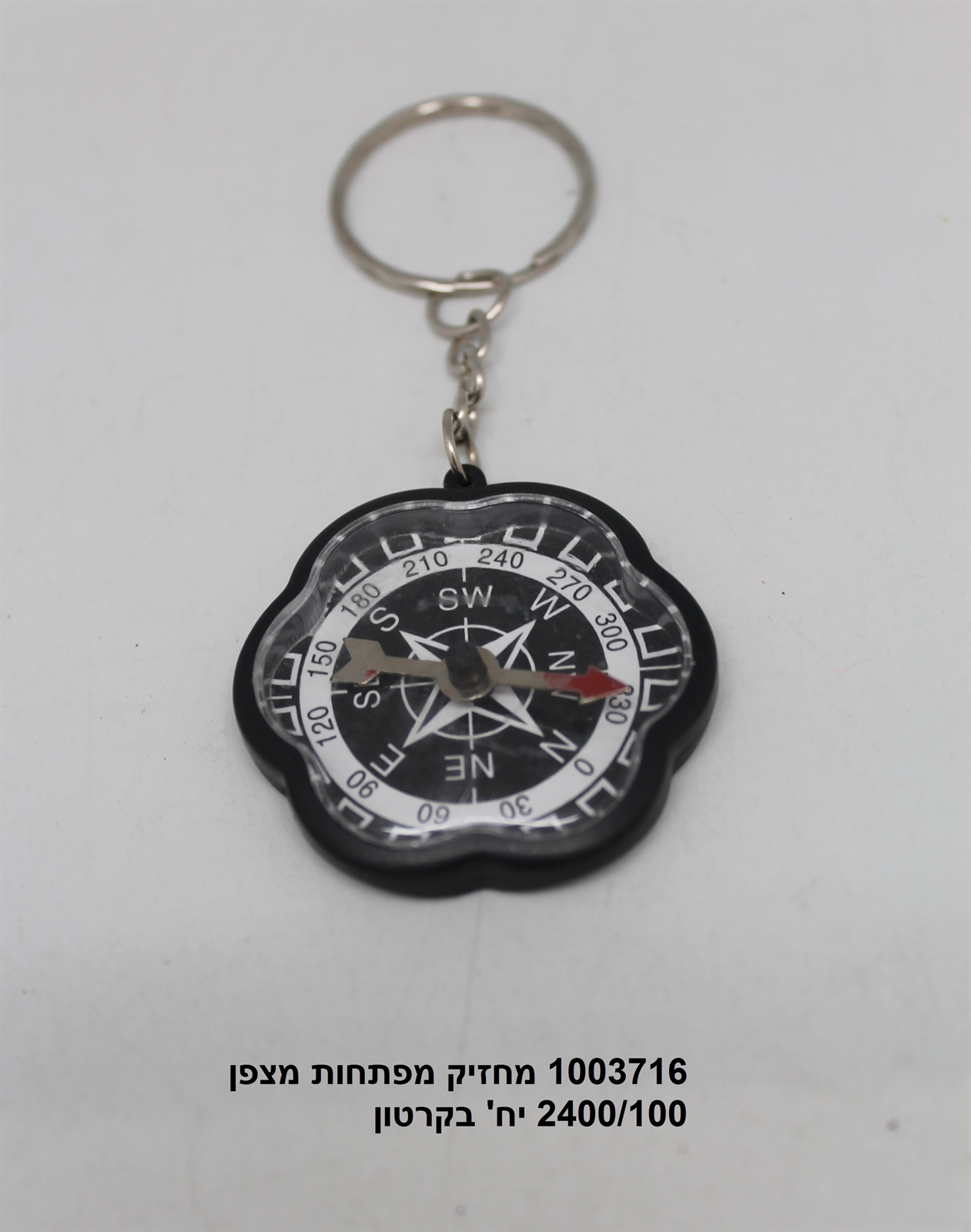 מחזיק מפתחות מצפן (1200/100)