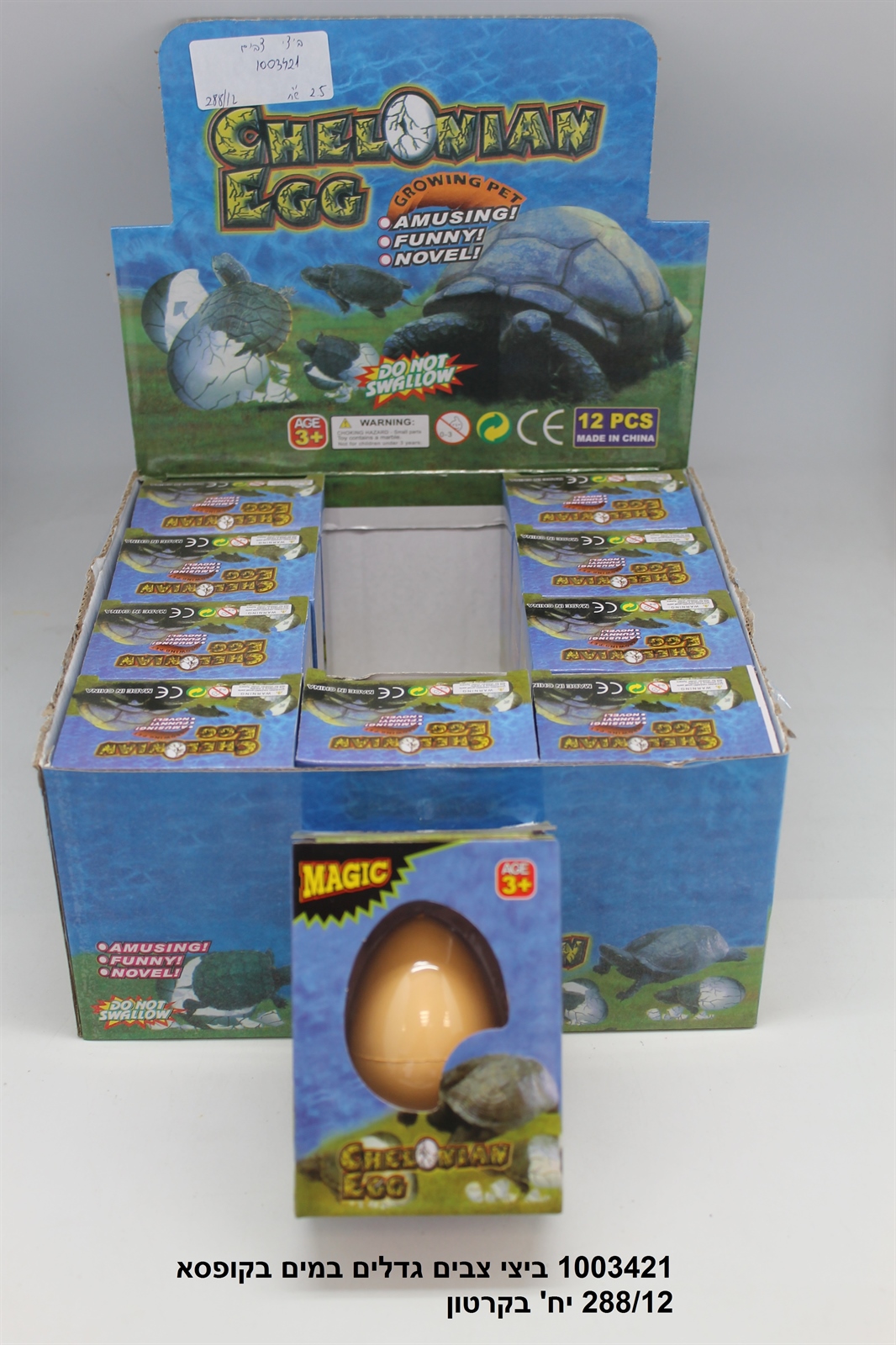 ביצי צבים גדלים במים בקופסא (288/12)