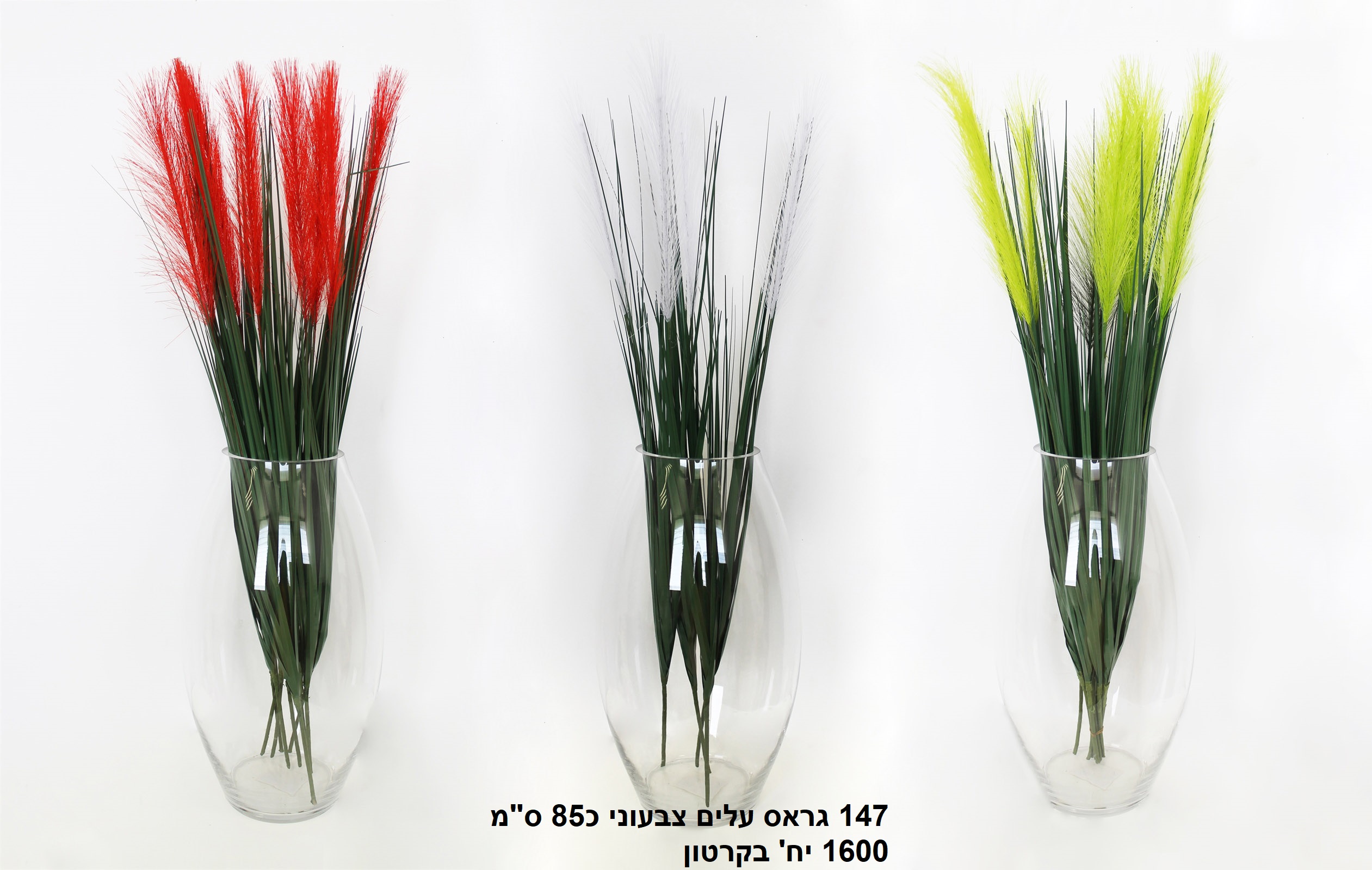 גראס עלים צבעוני כ 85 ס"מ