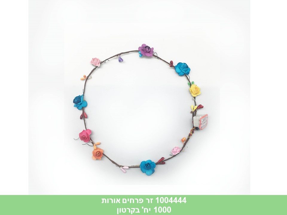 זר פרחים אורות בשקית (1000)