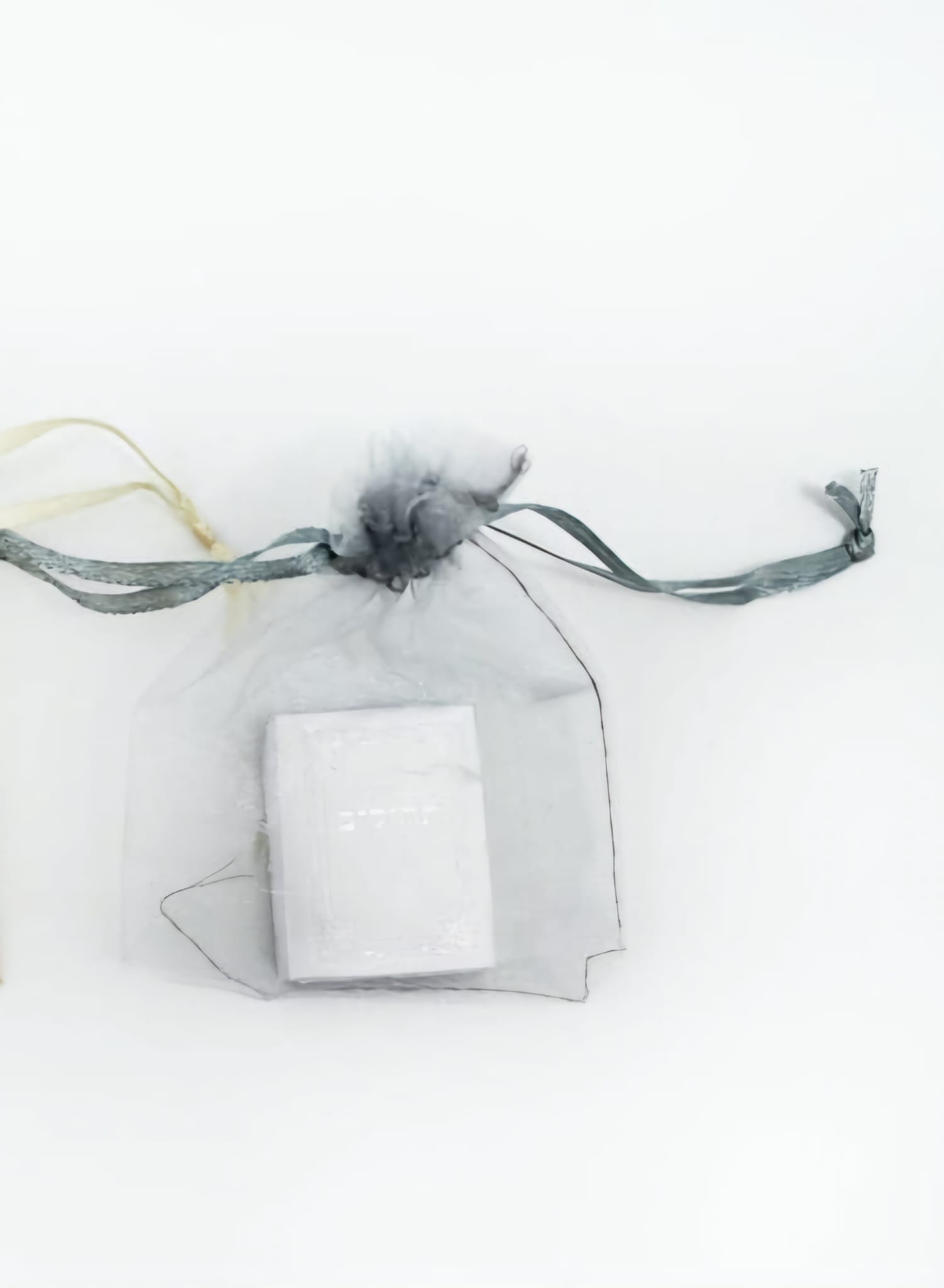 ספר תהילים בשקית אורגנזה כסף (קרטון סגור בלבד!!) (400) (ARIZOT)