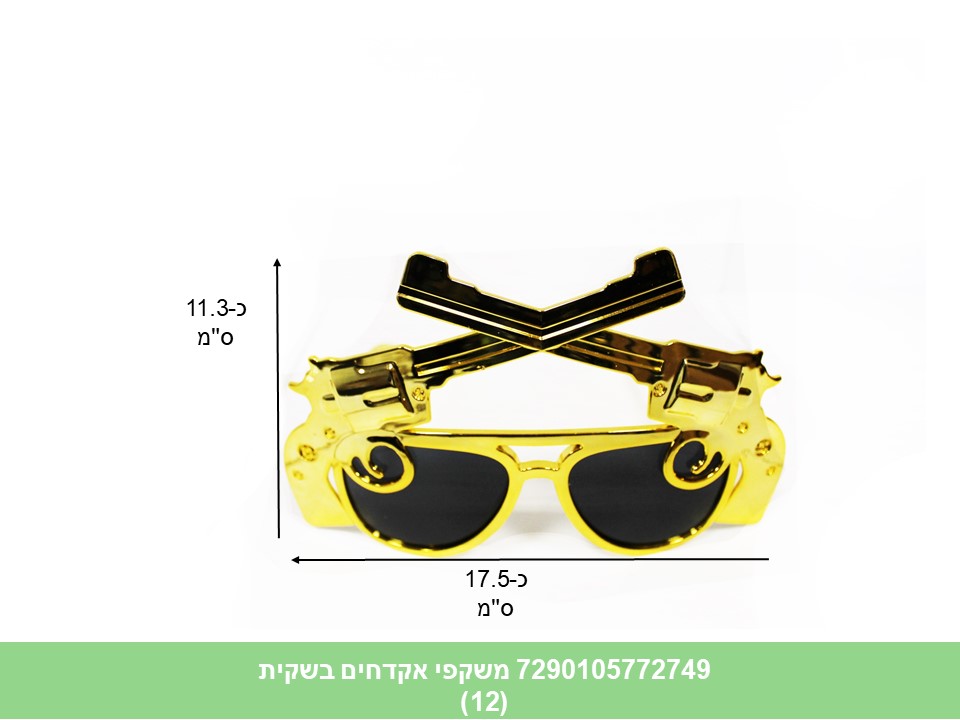 משקפי אקדחים בשקית (12)