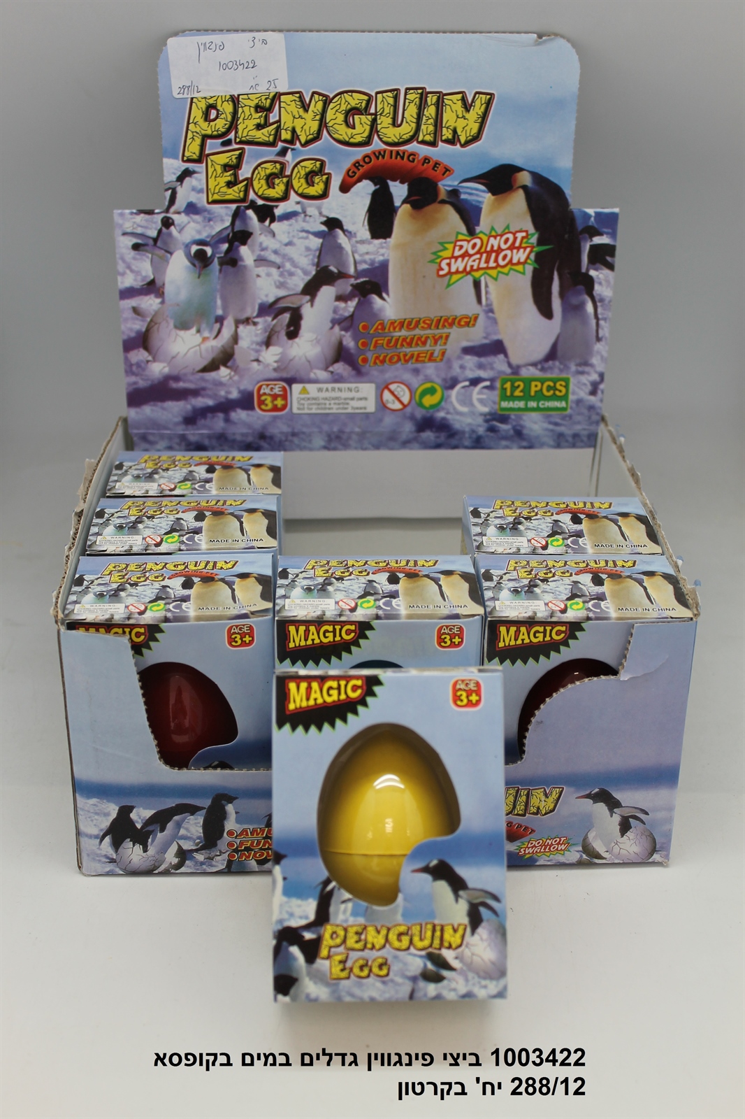 ביצי פינגווין גדלים במים בקופסא (288/12)