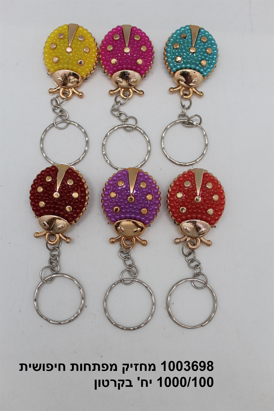 מחזיק מפתחות חיפושית (ברקוד על הפנימית) (1000/100)