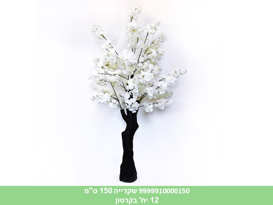 עץ שקדייה 150 ס"מ לבנה