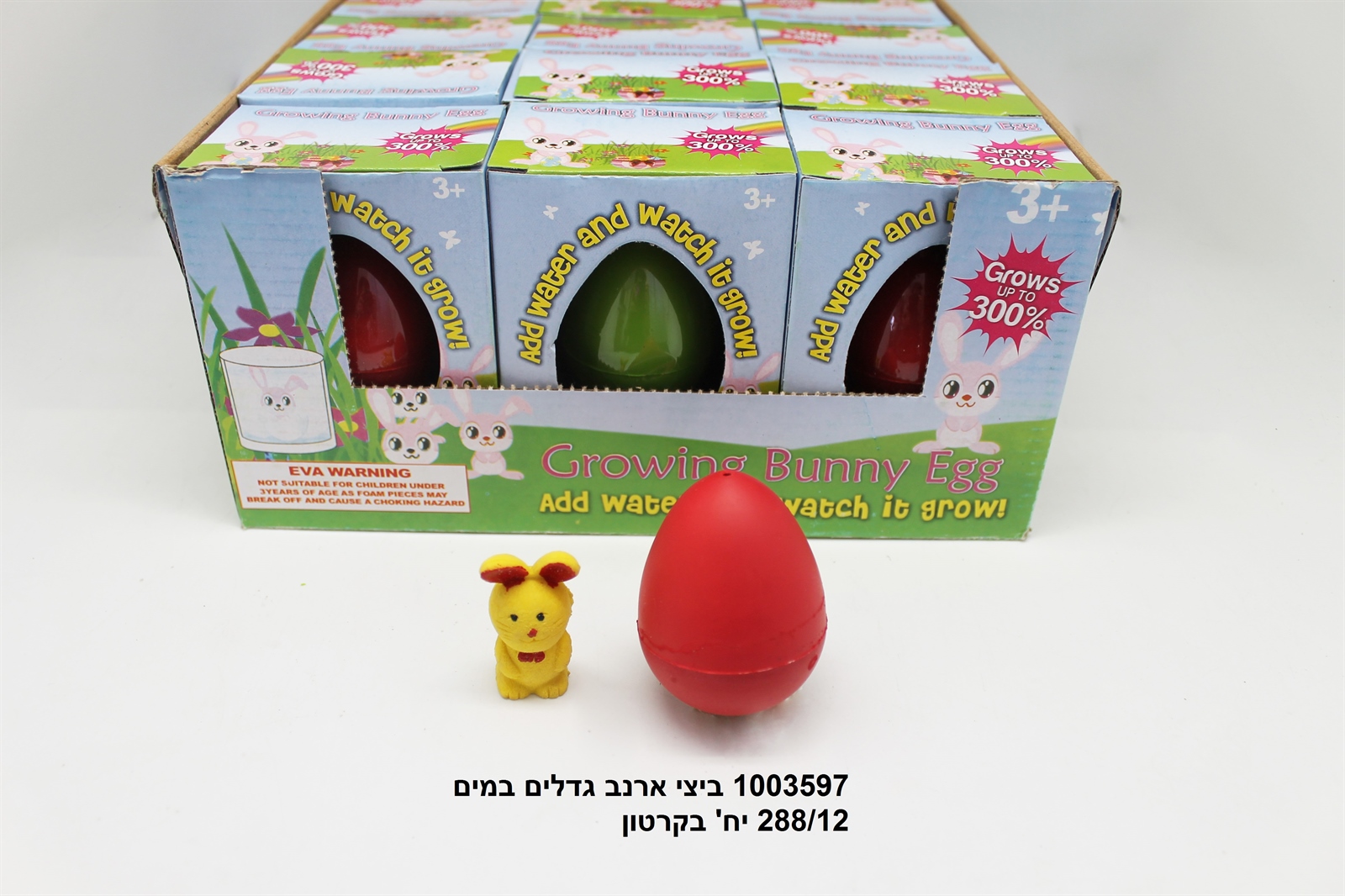 ביצי ארנב גדלים במים בקופסא (288/12)