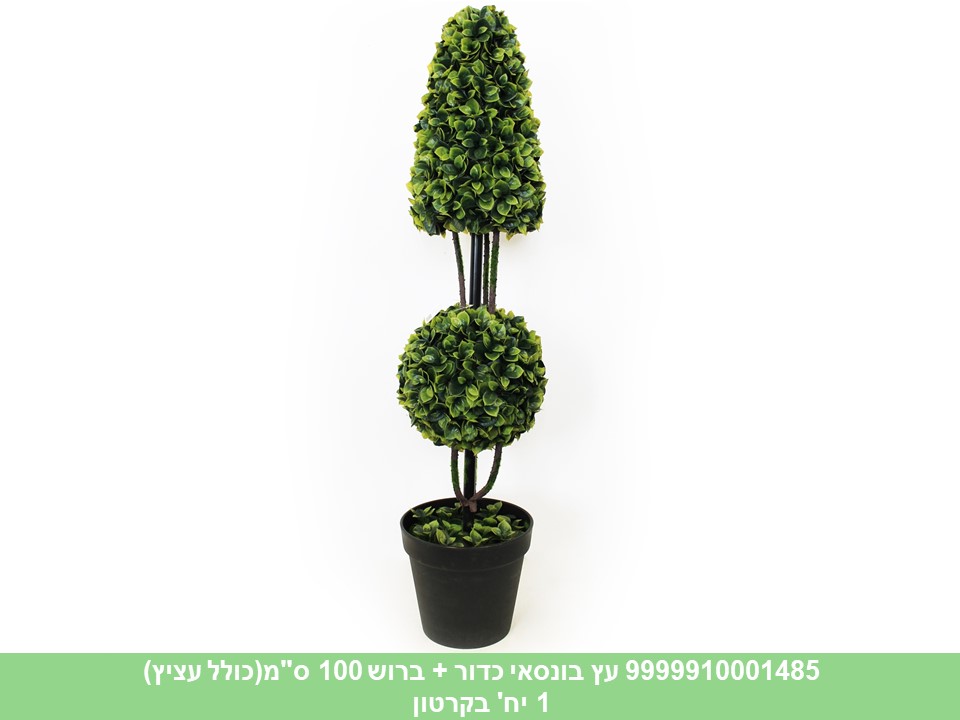 עץ בונסאי כדור + ברוש 100 ס"מ