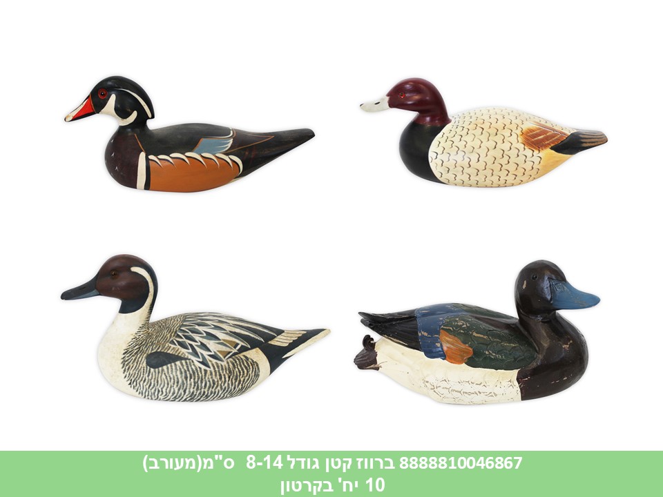 ברווז קטן גודל 8-14 ס"מ