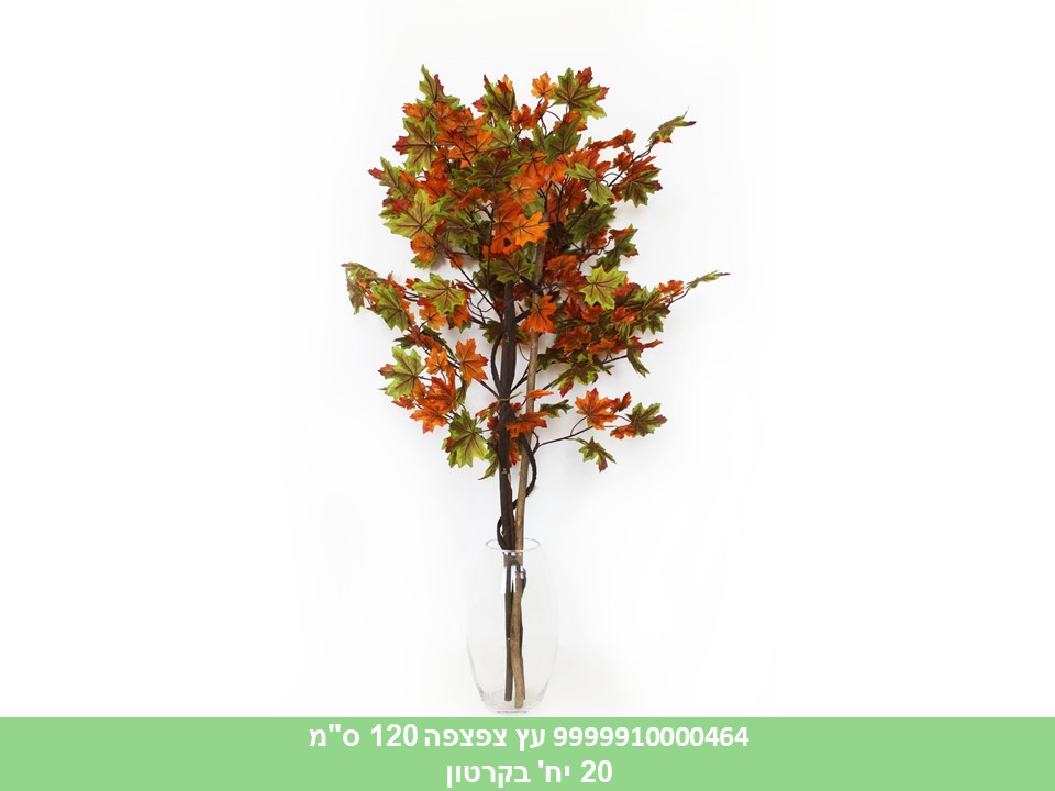 עץ צפצפה 120 ס"מ