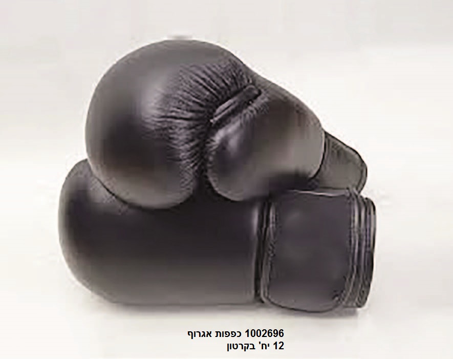 כפפות איגרוף