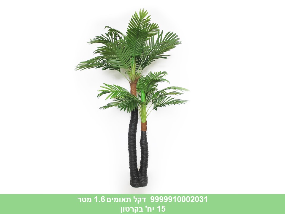 עץ דקל תאומים 1.6 מטר