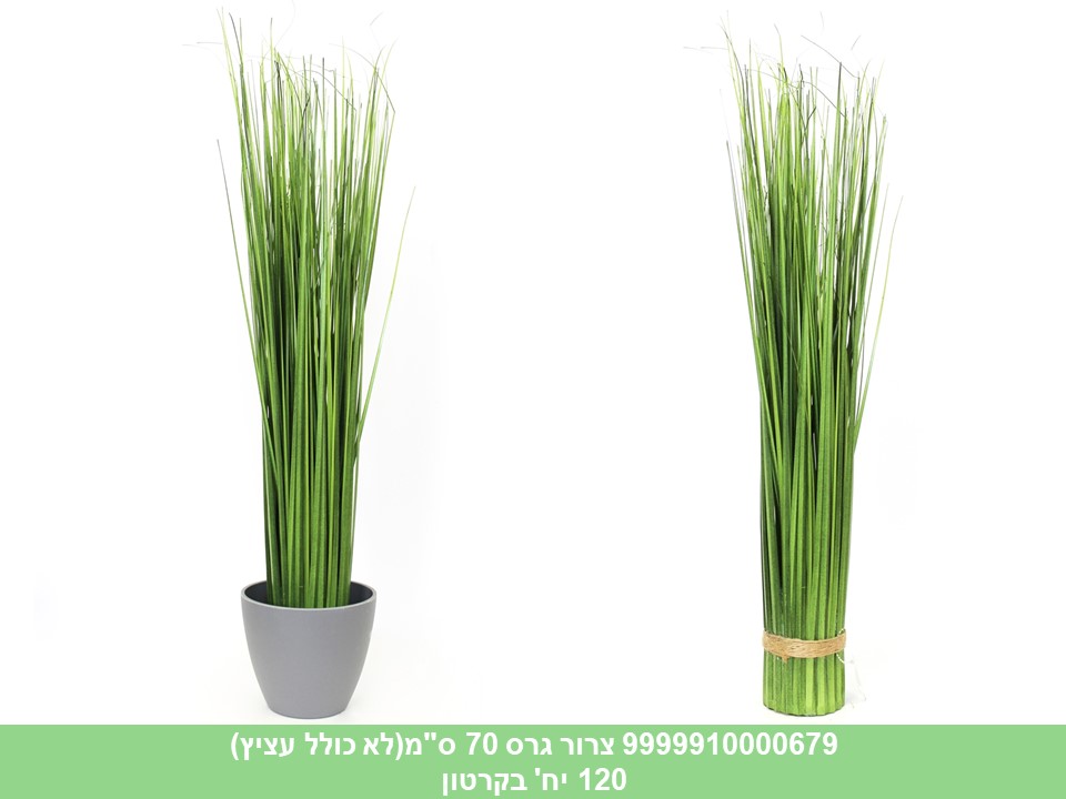 צרור גרס 70 ס"מ