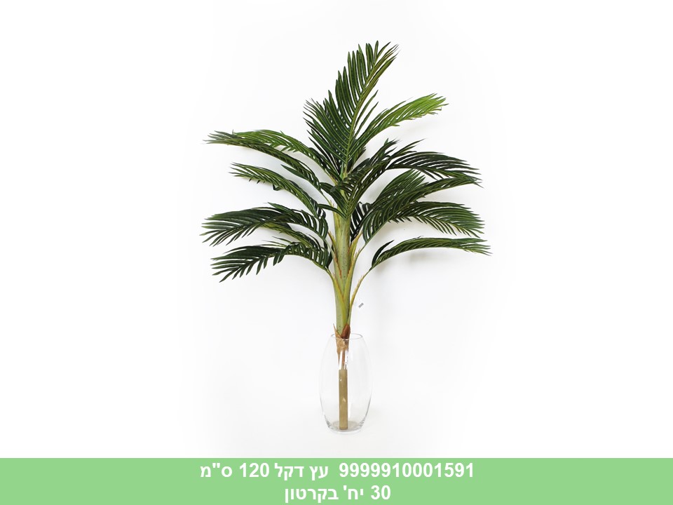 עץ דקל 120 ס"מ