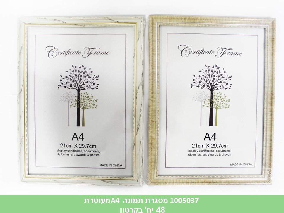 מסגרת תמונה A4 מעוטרת (48)