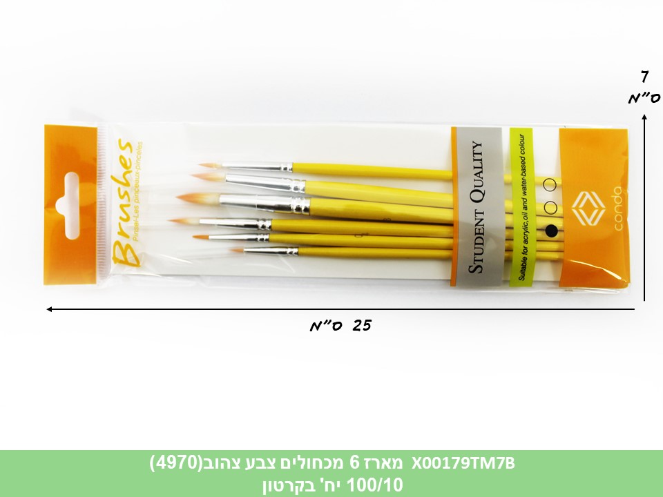 מארז 6 מכחולים צבע צהוב (ברקוד לועזי) (4970)