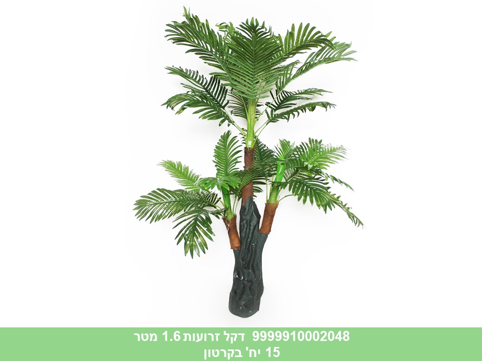 עץ דקל זרועות 1.6 מטר