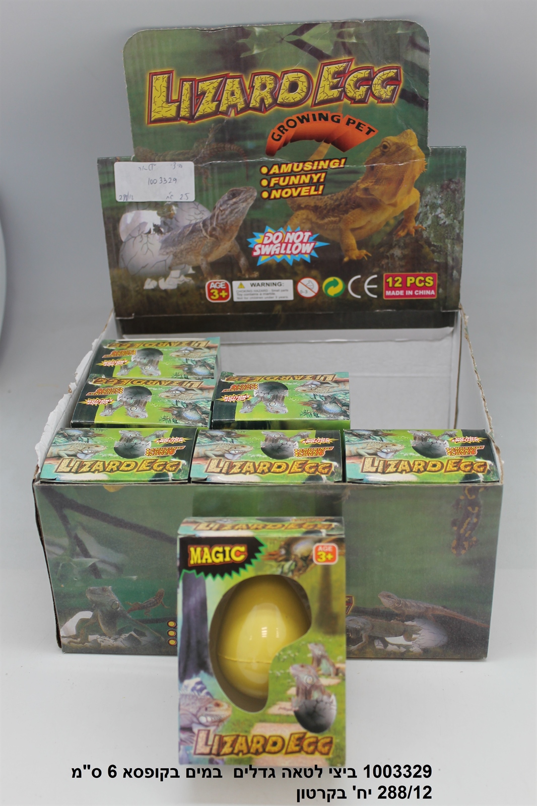 ביצי לטאה גדלים במים בקופסא (288/12)