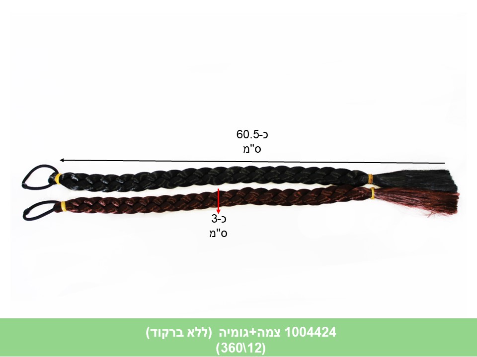 צמה + גומיה (360/10)