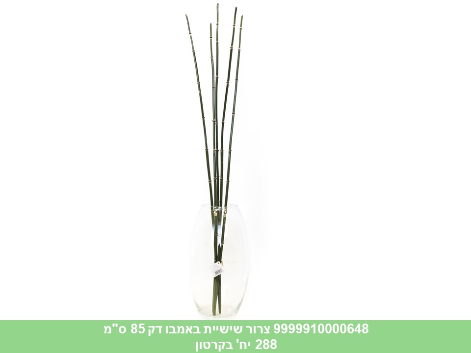 צרור שישיית באמבו דק 85 ס"מ (288)