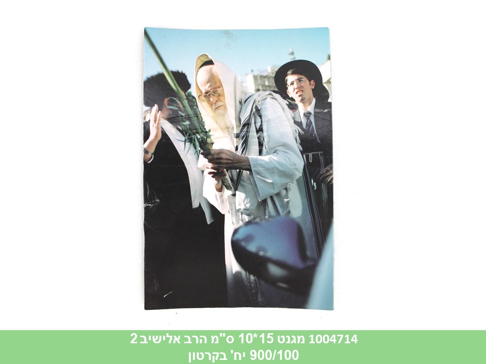 מגנט 15*10 ס"מ הרב אלישיב 2 ארבעת המינים (900/100)