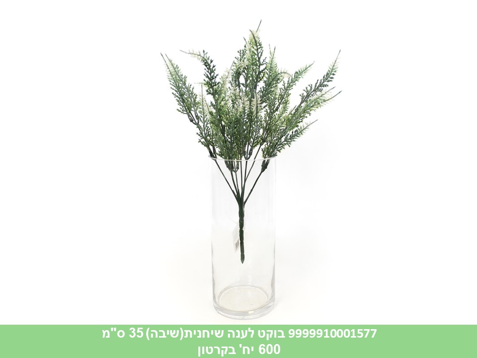 בוקט לענה שיחנית (שיבה) 35 ס"מ (60)